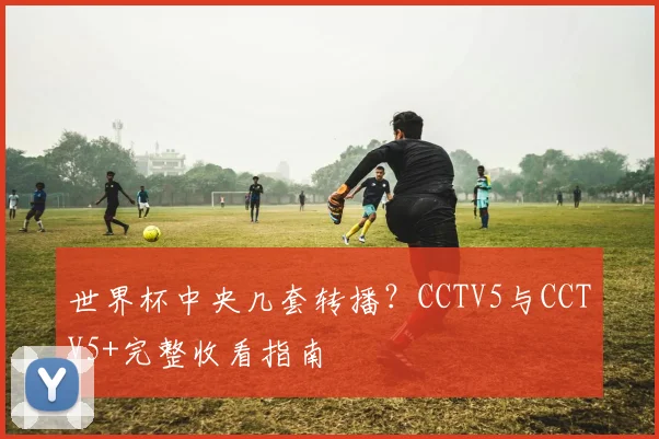 世界杯中央几套转播?CCTV5与CCTV5+完整收看指南