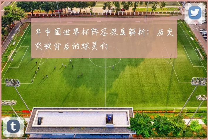 年中国世界杯阵容深度解析：历史突破背后的球员们