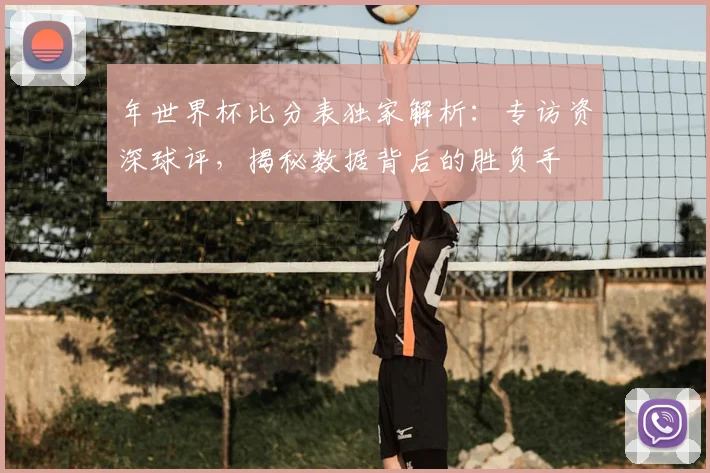 年世界杯比分表独家解析：专访资深球评，揭秘数据背后的胜负手